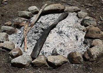 Never Throw Away Your Wood Ash! Do This Instead