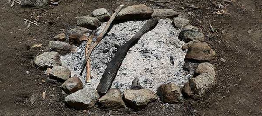 Wood Ash-Ways to Use Them Never-Throw-Away-Your-Wood-Ash-Do-This-Instead-890x395_c