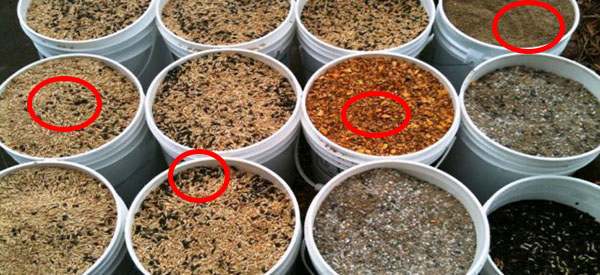 Five Prepping “Rules” That Are Actually Myths