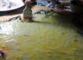 How To Tan Hides With Egg