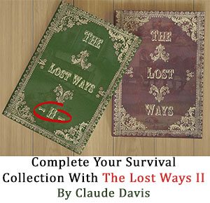 THe Lost Ways 2 banner + book 1