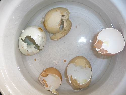 1 Calcium Supplements from Eggshells