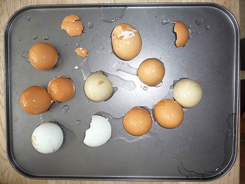 2 Calcium Supplements from Eggshells