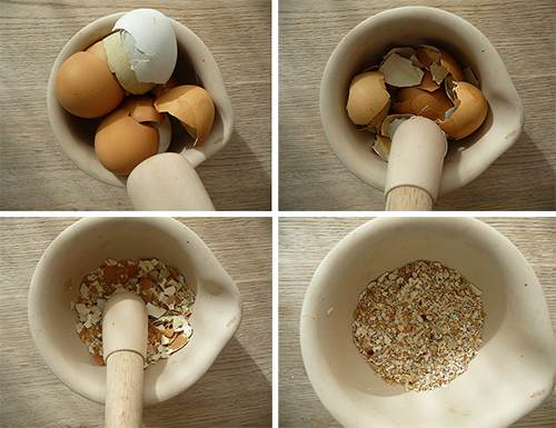 3 Calcium Supplements from Eggshells