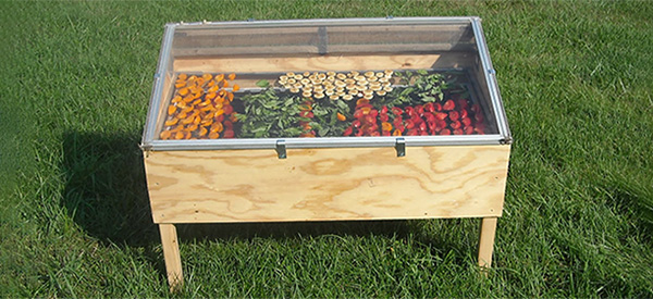 51 Foods to Dehydrate for Your Stockpile