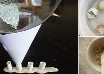 How to Make Calcium Supplements from Eggshells