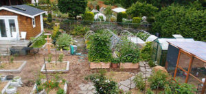 How Much Land Do You Need to Build Self-Sufficiency