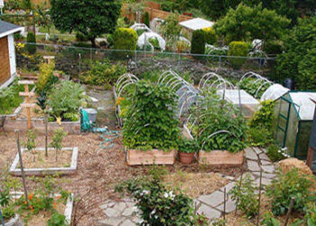 How Much Land Do You Need to Build Self-Sufficiency