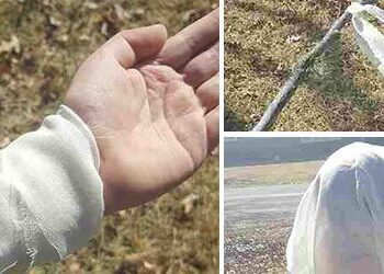 The Long-Forgotten Cheese Cloth