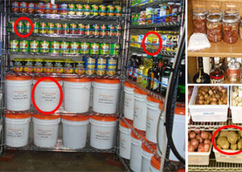 How do You Keep Your Pantry Dry to Prevent Your Food from Spoiling