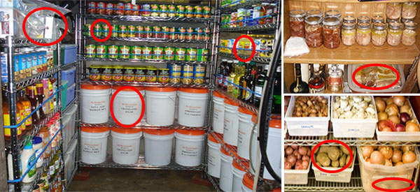 How do You Keep Your Pantry Dry to Prevent Your Food from Spoiling