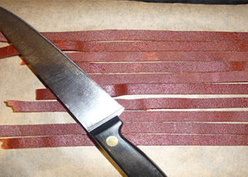 How to Make Fruit Leather cover photo