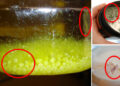 How to Prevent Your Foods from Going Rancid