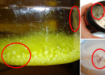 How to Prevent Your Foods from Going Rancid