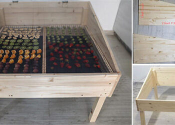 how to make a solar dehydrator diy with pictures