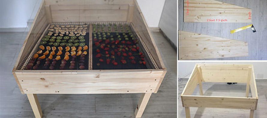 Home Made Dehydrators How-to-make-a-solar-dehydrator-diy-with-pictures-890x395_c