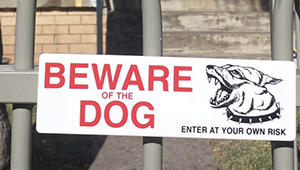 Beware of the Dog How to Avoid Being Targeted by Looters During a Period of Civil Unrest