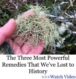 bor banner remedies