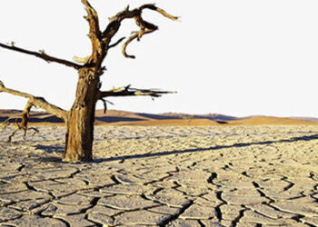 How The Worst Famine In The US History Killed 3 Out Of 4 People