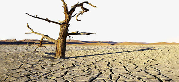 How The Worst Famine In The US History Killed 3 Out Of 4 People