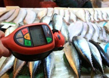 Is Canned Tuna Still Safe to Stockpile 7 Years After Fukushima