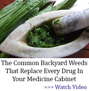 bor banner common weeds