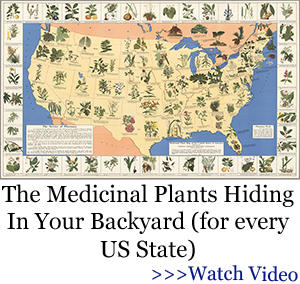 medicinal plant map banner bor