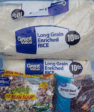 $100 Walmart Prepper Food Run