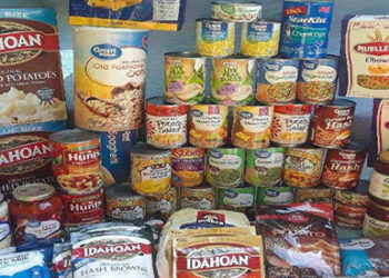 $100 Walmart Prepper Food Run