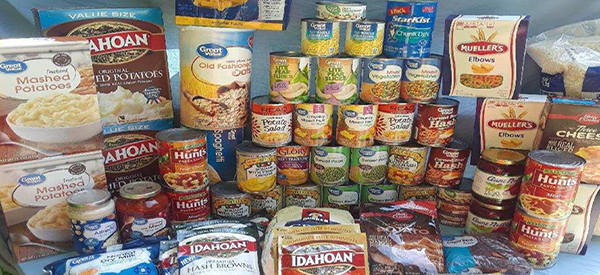 $100 Walmart Prepper Food Run