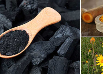 9 Natural Remedies To Heal Wounds Faster