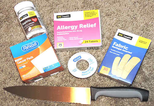 BOB from the Dollar Store for $50 First-Aid