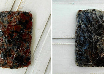 Cracking Open My Stockpile Of Pemmican After 1 Year cover photo