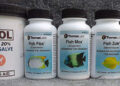How I Got A 260 Pill SHTF Antibiotic Stockpile