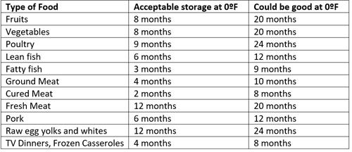 How Long Can You Store Food In The Freezer? (Infographic)