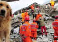 How To Understand The Signals From Animals Just Before A Natural Disaster Strikes