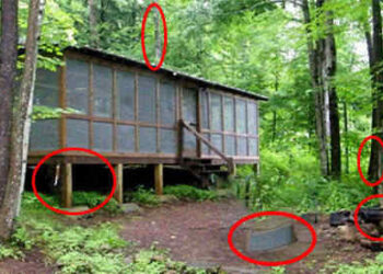 Is A Veteran’s SHTF Bug In Plan Similar To Yours