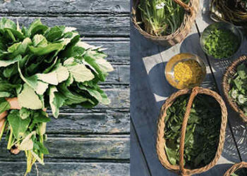 The 5 Most Common Edible Weeds In Your State