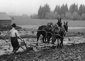 Was Your Grandfather a Prepper