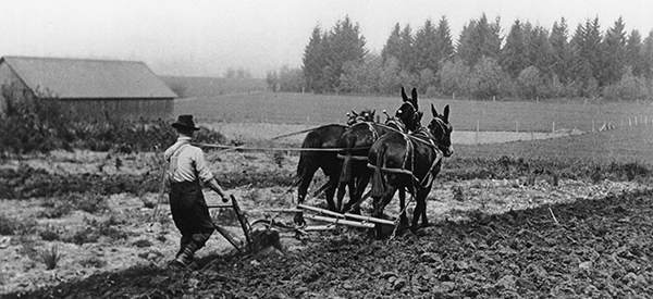 Was Your Grandfather a Prepper