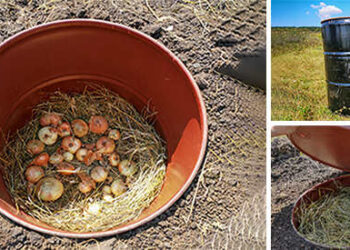 How To Make A Mini Root Cellar In Your Backyard In Less Than Two Hours
