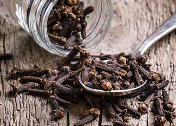 10 Home Remedies for Emergency Toothache Relief