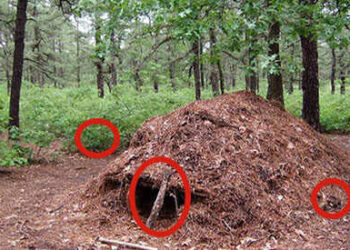 Emergency Shelters When You Are On The Move