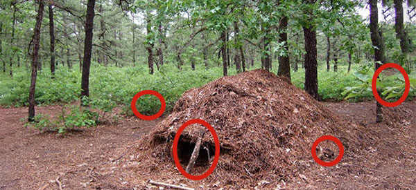 Emergency Shelters When You Are On The Move