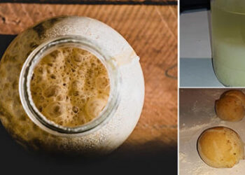 How To Make Yeast For Long-Term Storage