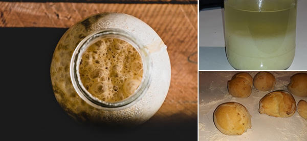 How To Make Yeast For Long-Term Storage