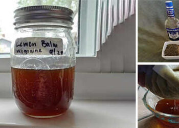How to Treat Migraines with an Herbal Tincture