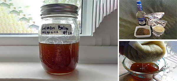 How to Treat Migraines with an Herbal Tincture