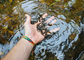 Outrageous, But Effective, Medicines People Used In The Past