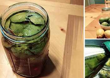 The Black Walnut Hull Remedy That Cleans Your Intestines Of Parasites